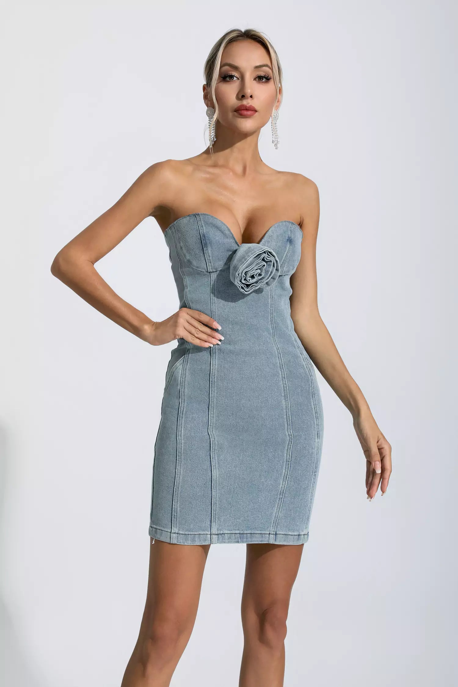 Trista Denim Blue Flower Embellished Dress