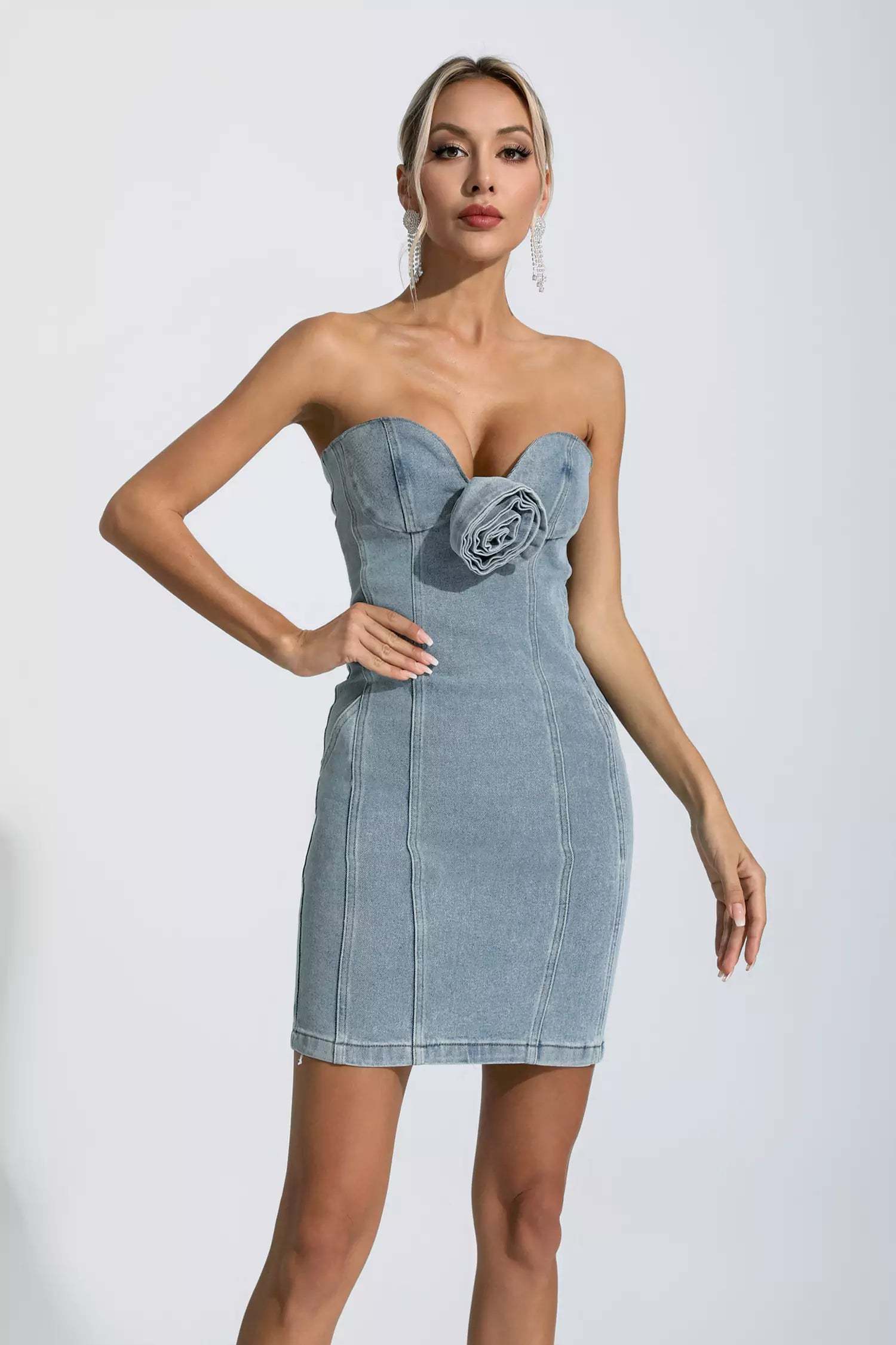 Trista Denim Blue Flower Embellished Dress