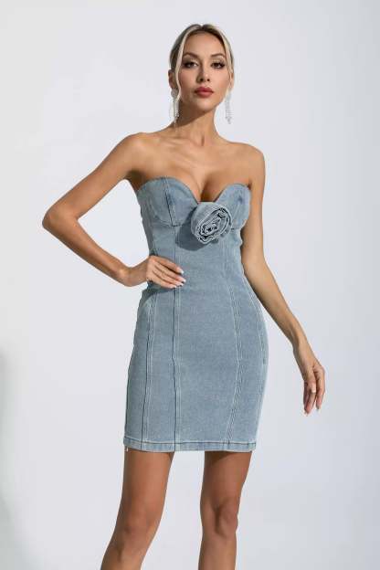 Trista Denim Blue Flower Embellished Dress