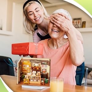 rolife diy miniature dollhouse kit dg161