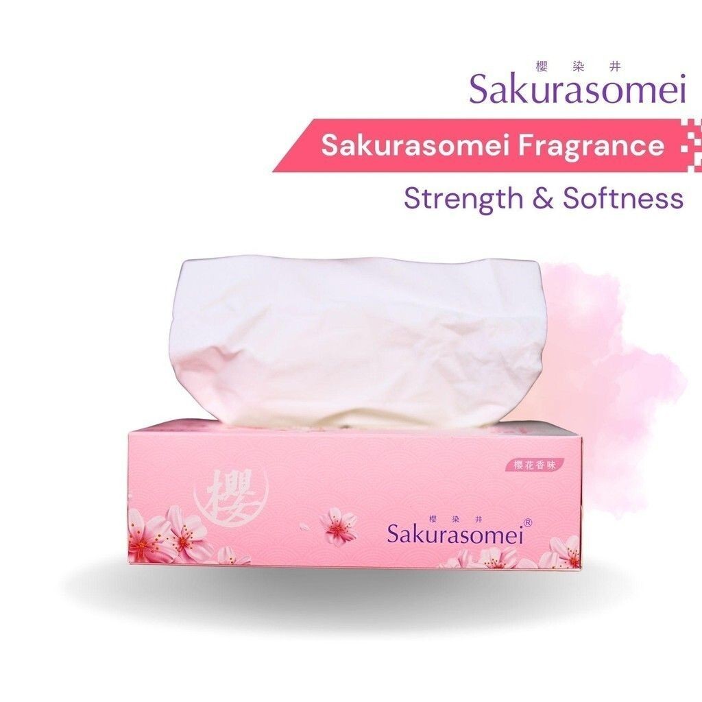 Sakurasomei Fragrance Tissue Box 80 sheets (5 x 80s)