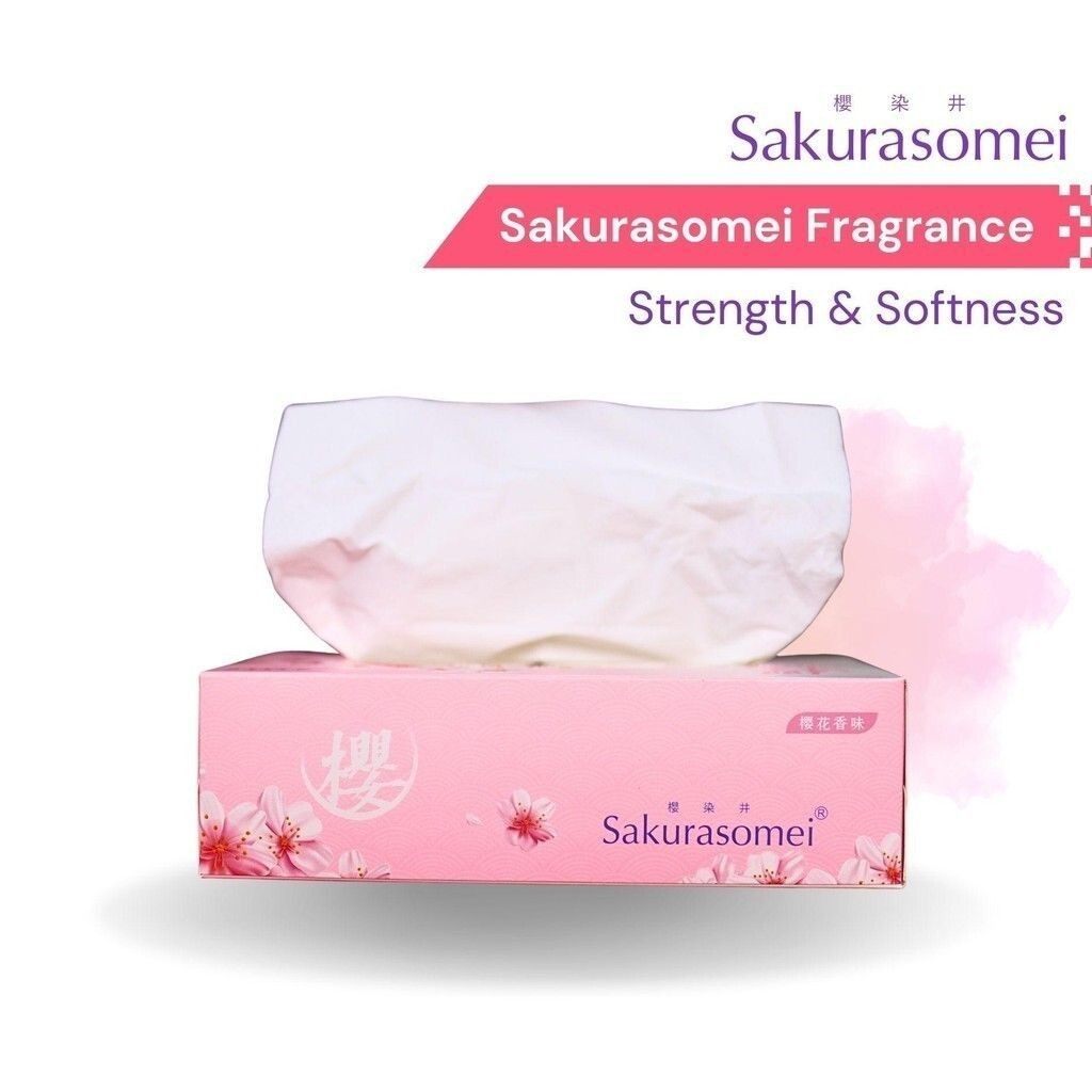 Sakurasomei Fragrance Tissue Box 80 sheets (5 x 80s)