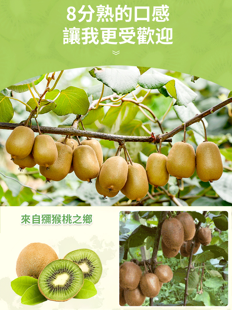 美味健康獼猴桃乾