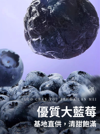 藍莓李果伊犁藍莓幹