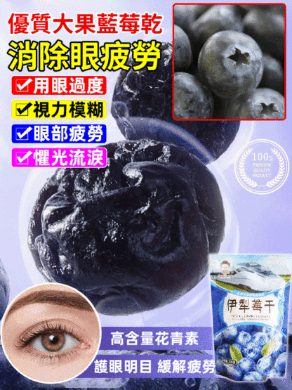 藍莓李果伊犁藍莓幹