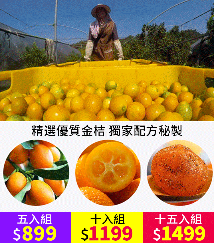 止咳化痰潤喉甘草金桔