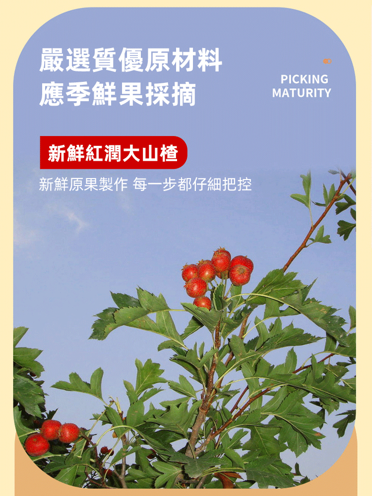 無核甘草空心山楂