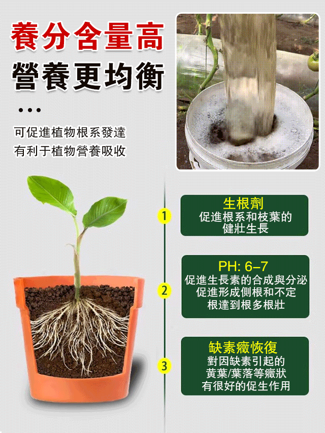 植物生根劑