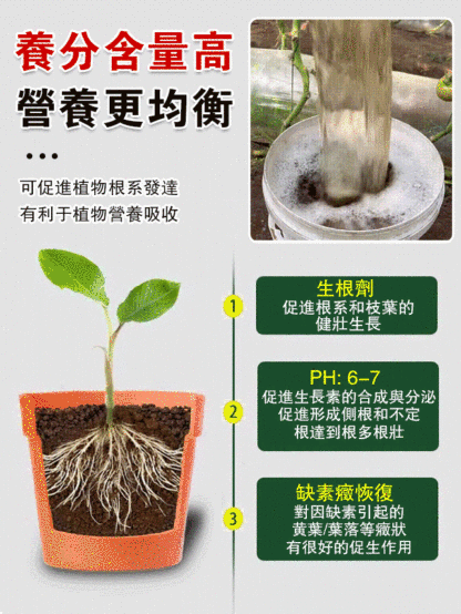 植物生根劑