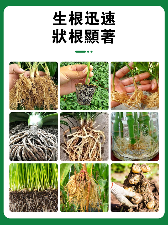 植物生根劑