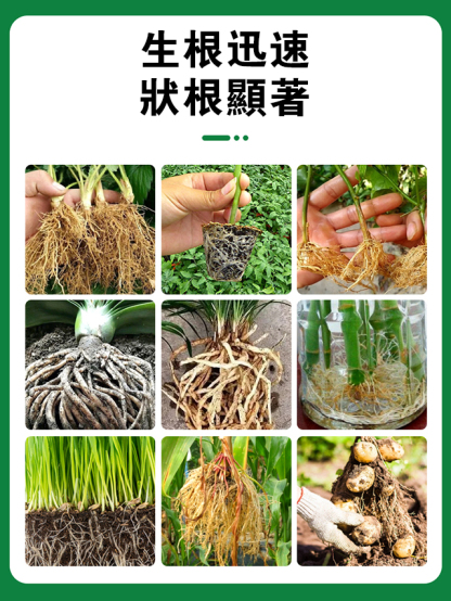 植物生根劑