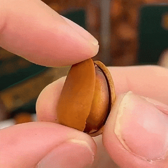 4.gif
