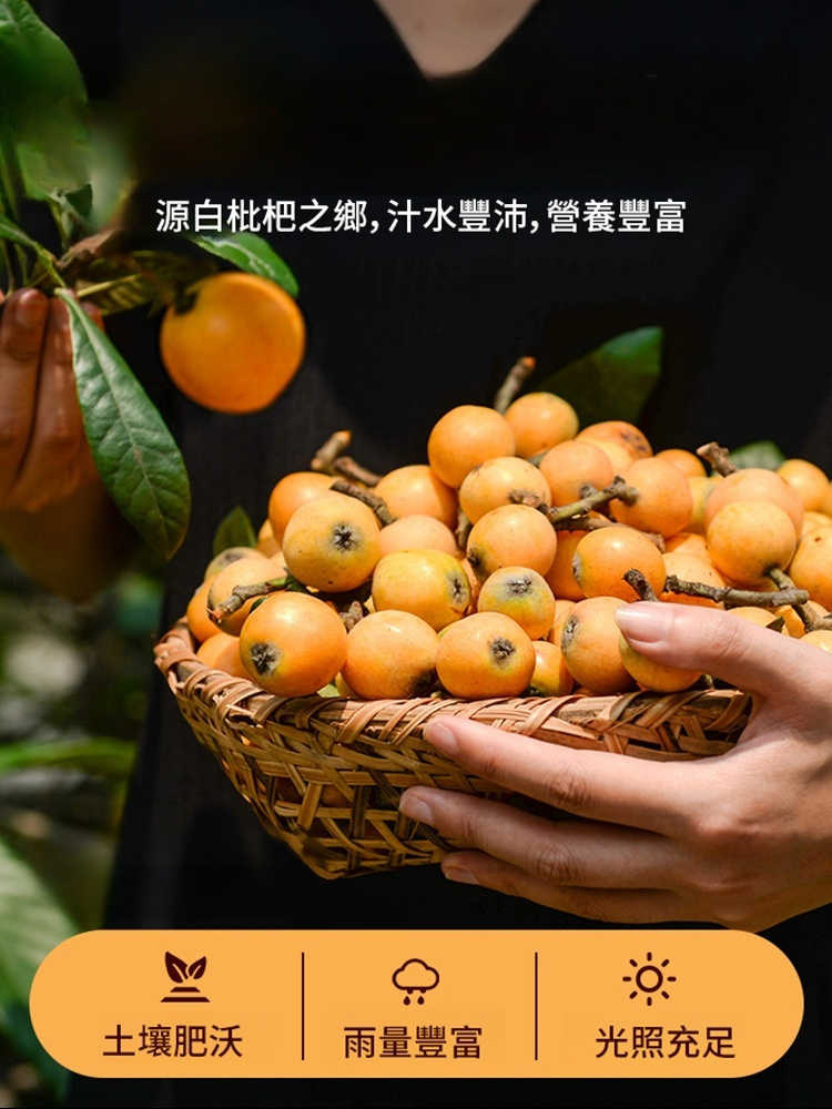 純天然雲霄竹鹽枇杷幹