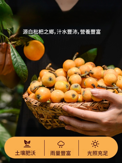 純天然雲霄竹鹽枇杷幹