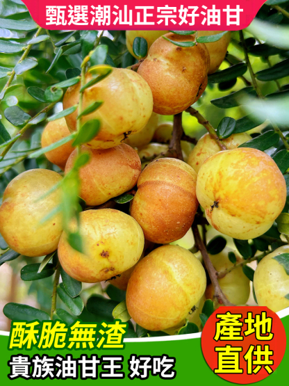 潮汕正宗甘草油柑果