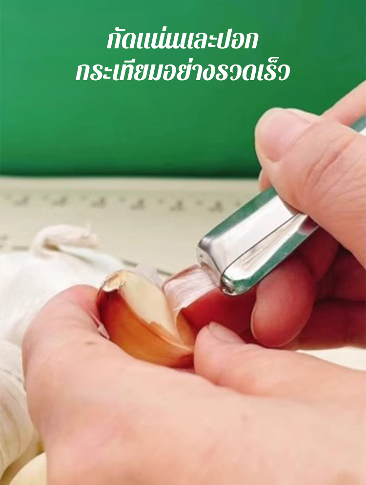 ที่ปอกกระเทียมสแตนเลส