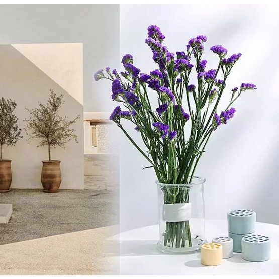 حامل ساق حلزوني من ايكيبانا