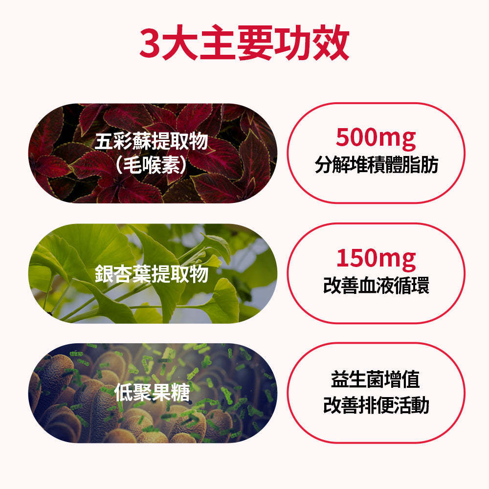 減脂消腫 告別梨型 1個月組合 贈送水瓶