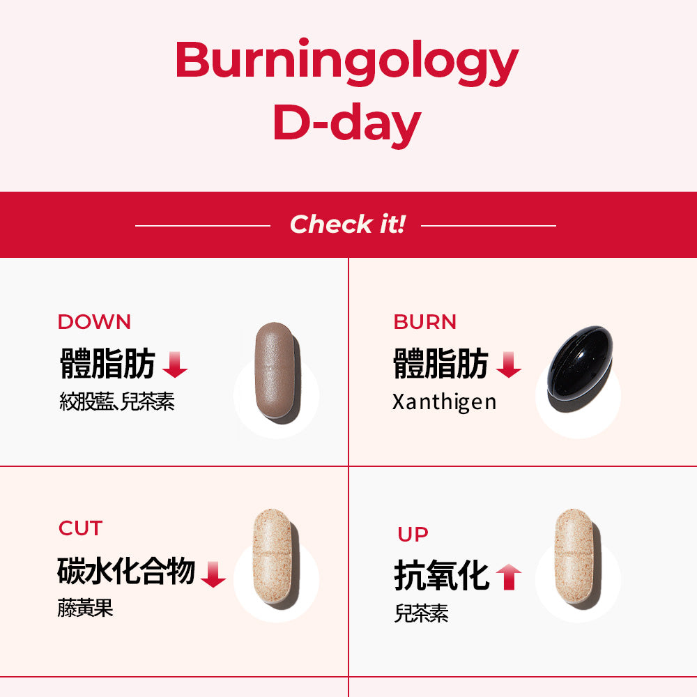 Burningology D-Day (For 10day)兒茶素/藤黃果/絞股藍/石榴海帶復合物