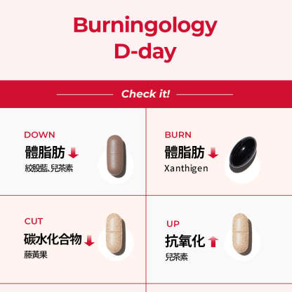 Burningology D-Day (For 10day)兒茶素/藤黃果/絞股藍/石榴海帶復合物