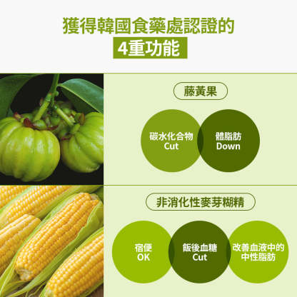 2週燃脂 排毒清宿便 集中燃脂 腰腹快速整理