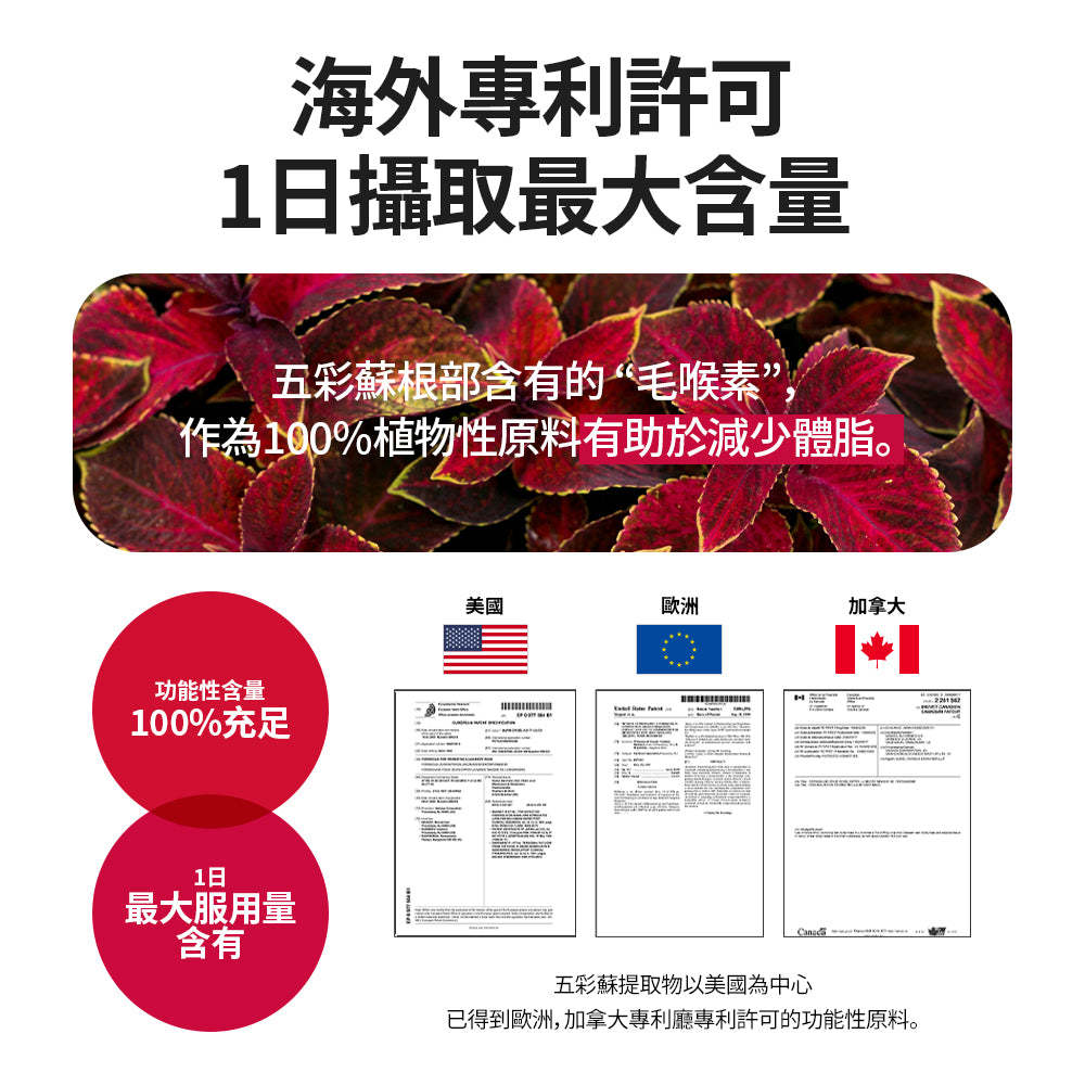 Coleology五彩蘇植物纖體睡眠片