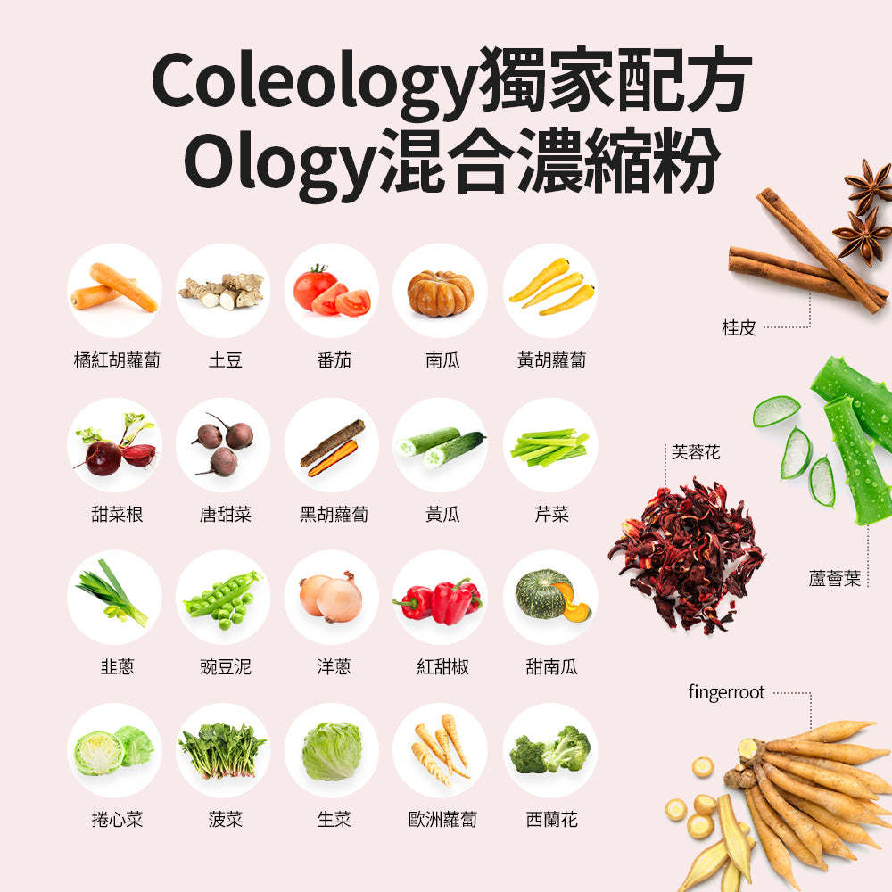 Coleology五彩蘇植物纖體睡眠片
