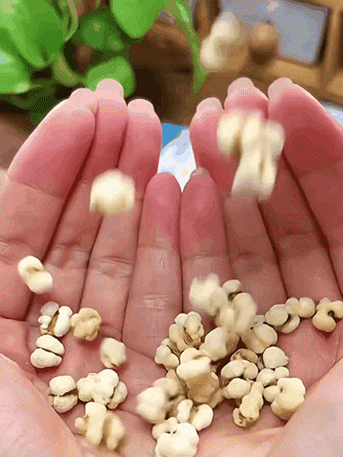 【暖脾胃去寒濕】特級炒薏米仁