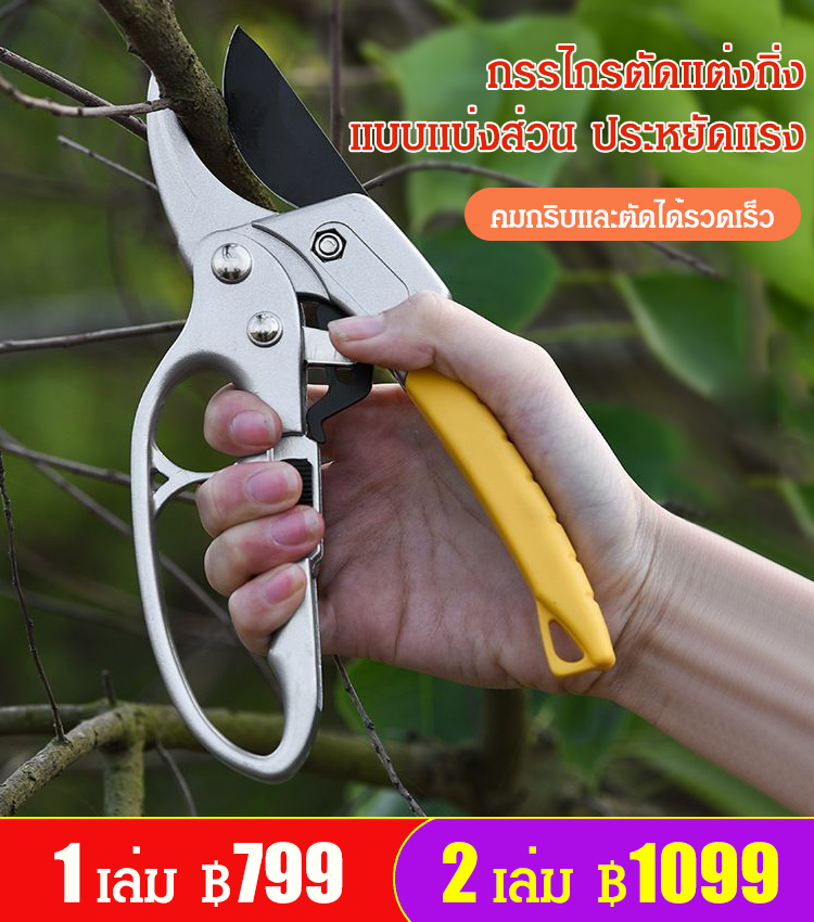 กรรไกรตัดแต่งกิ่ง แบบแบ่งส่วน ประหยัดแรง