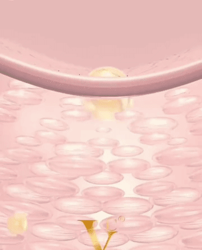 JS-五重维c素颜霜_13.gif