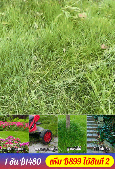 เครื่องตัดหญ้าไฟฟ้าลิเธียม 2 in 1