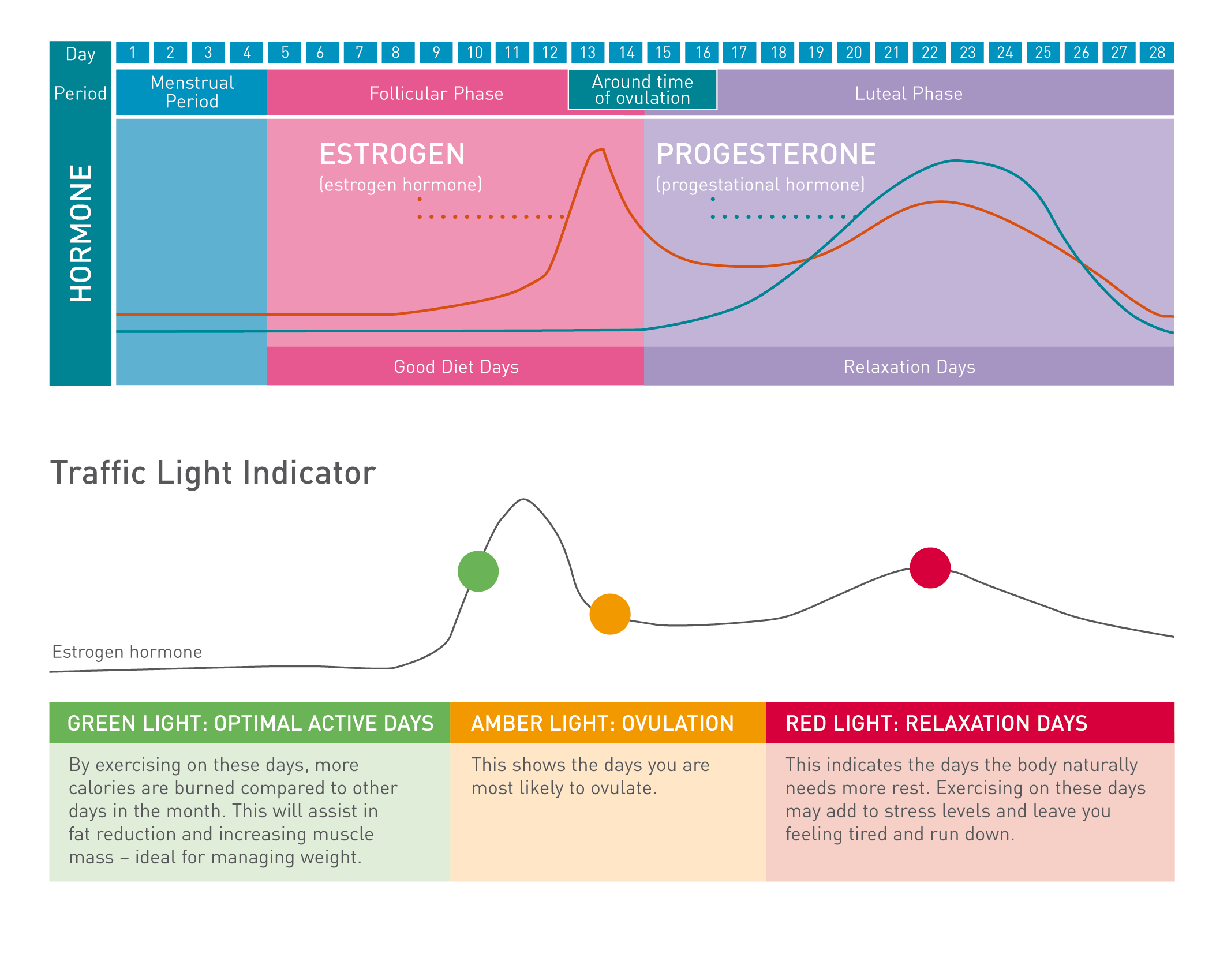 Self Photos / Files - Fitplus_Feature_Chart_-_A_Note_For_Women_Section_WHITE