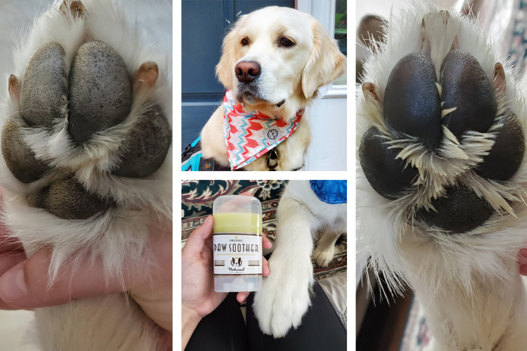 Dry-paws-solved-1030x687.jpeg Dry-paws-solved-1030x687.jpeg