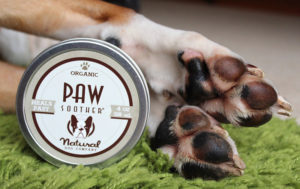 Boxer-paws-moisturized-300x189.jpeg Boxer-paws-moisturized-300x189.jpeg