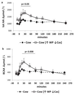 Reversed Cow's Milk Amino Acid Uptake